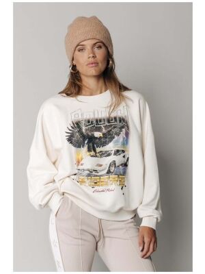 Colourful Rebel Colourful Rebel rough riders dropped sweat Colourful Rebel Colourful Rebel rough riders dropped sweat