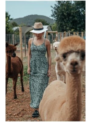 Colourful Rebel Colourful Rebel sophie zebra smock maxi dress Colourful Rebel Colourful Rebel sophie zebra smock maxi dress